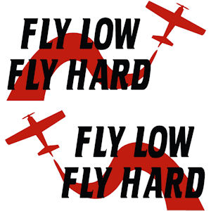 00384<br>Fly Low Fly Hard<br>Set of 2