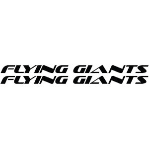 282<br>Flying Giants<br>Set of 2