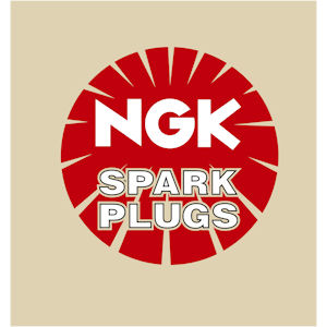 411<br>NGK Spark Plugs